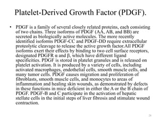 Platelet-Derived Growth Factor (PDGF).
• PDGF is a family of several closely related proteins, each consisting
of two chains. Three isoforms of PDGF (AA, AB, and BB) are
secreted as biologically active molecules. The more recently
identified isoforms PDGF-CC and PDGF-DD require extracellular
proteolytic cleavage to release the active growth factor.All PDGF
isoforms exert their effects by binding to two cell surface receptors,
designated PDGFR α and β, which have different ligand
specificities. PDGF is stored in platelet granules and is released on
platelet activation. It is produced by a variety of cells, including
activated macrophages, endothelial cells, smooth muscle cells, and
many tumor cells. PDGF causes migration and proliferation of
fibroblasts, smooth muscle cells, and monocytes to areas of
inflammation and healing skin wounds, as demonstrated by defects
in these functions in mice deficient in either the A or the B chain of
PDGF. PDGF-B and C participate in the activation of hepatic
stellate cells in the initial steps of liver fibrosis and stimulate wound
contraction.
28

 