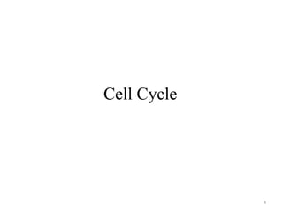 Cell Cycle

4

 
