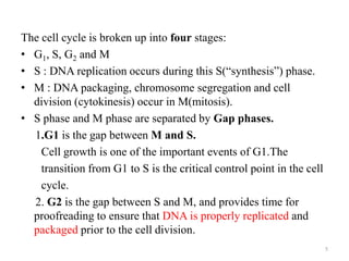 The cell cycle is broken up into four stages:
• G1, S, G2 and M
• S : DNA replication occurs during this S(“synthesis”) phase.
• M : DNA packaging, chromosome segregation and cell
division (cytokinesis) occur in M(mitosis).
• S phase and M phase are separated by Gap phases.
1.G1 is the gap between M and S.
Cell growth is one of the important events of G1.The
transition from G1 to S is the critical control point in the cell
cycle.
2. G2 is the gap between S and M, and provides time for
proofreading to ensure that DNA is properly replicated and
packaged prior to the cell division.
5

 