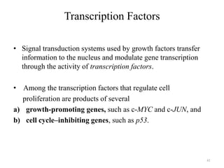 Transcription Factors
• Signal transduction systems used by growth factors transfer
information to the nucleus and modulate gene transcription
through the activity of transcription factors.
• Among the transcription factors that regulate cell
proliferation are products of several
a) growth-promoting genes, such as c-MYC and c-JUN, and
b) cell cycle–inhibiting genes, such as p53.

41

 