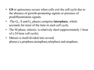 • G0 or quiescence occurs when cells exit the cell cycle due to
the absence of growth-promoting signals or presence of
prodifferentiation signals.
• The G1, S and G2 phases comprise interphase, which
accounts for most of the time in each cell cycle.
• The M phase, mitosis, is relatively short (approximately 1 hour
of a 24 hour cell cycle).
• Mitosis is itself divided into several
phases,i.e,prophase,metaphase,telophase and anaphase.

6

 