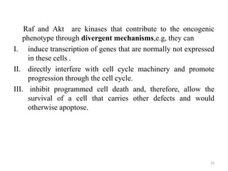 Raf and Akt are kinases that contribute to the oncogenic
phenotype through divergent mechanisms,e.g, they can
I. induce transcription of genes that are normally not expressed
in these cells .
II. directly interfere with cell cycle machinery and promote
progression through the cell cycle.
III. inhibit programmed cell death and, therefore, allow the
survival of a cell that carries other defects and would
otherwise apoptose.

59

 