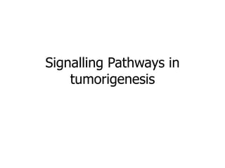 Signalling Pathways in
tumorigenesis
 