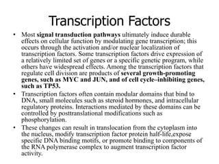 Transcription Factors
• Most signal transduction pathways ultimately induce durable
effects on cellular function by modulating gene transcription; this
occurs through the activation and/or nuclear localization of
transcription factors. Some transcription factors drive expression of
a relatively limited set of genes or a specific genetic program, while
others have widespread effects. Among the transcription factors that
regulate cell division are products of several growth-promoting
genes, such as MYC and JUN, and of cell cycle–inhibiting genes,
such as TP53.
• Transcription factors often contain modular domains that bind to
DNA, small molecules such as steroid hormones, and intracellular
regulatory proteins. Interactions mediated by these domains can be
controlled by posttranslational modifications such as
phosphorylation.
• These changes can result in translocation from the cytoplasm into
the nucleus, modify transcription factor protein half-life,expose
specific DNA binding motifs, or promote binding to components of
the RNA polymerase complex to augment transcription factor
activity.
 