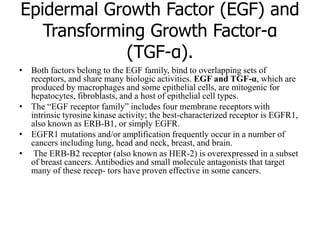 Epidermal Growth Factor (EGF) and
Transforming Growth Factor-α
(TGF-α).
• Both factors belong to the EGF family, bind to overlapping sets of
receptors, and share many biologic activities. EGF and TGF-α, which are
produced by macrophages and some epithelial cells, are mitogenic for
hepatocytes, fibroblasts, and a host of epithelial cell types.
• The “EGF receptor family” includes four membrane receptors with
intrinsic tyrosine kinase activity; the best-characterized receptor is EGFR1,
also known as ERB-B1, or simply EGFR.
• EGFR1 mutations and/or amplification frequently occur in a number of
cancers including lung, head and neck, breast, and brain.
• The ERB-B2 receptor (also known as HER-2) is overexpressed in a subset
of breast cancers. Antibodies and small molecule antagonists that target
many of these recep- tors have proven effective in some cancers.
 