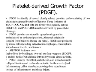 Platelet-derived Growth Factor
(PDGF).
• PDGF is a family of several closely related proteins, each consisting of two
chains (designated by pairs of letters). Three isoforms of
PDGF (AA, AB, and BB) are directly biologically active;
PDGF-CC and PDGF-DD must be activated by proteolytic
cleavage.
• PDGF proteins are stored in cytoplasmic granules
and released by activated platelets. Although originally
isolated from platelets (hence the name), PDGFs are produced
by many cells including activated macrophages, endothelium,
smooth muscle cells, and tumors.
• All PDGF isoforms exert
their effects by binding to two cell-surface receptors (PDGFR
α and β), both of which have intrinsic tyrosine kinase activity.
• PDGF induces fibroblast, endothelial, and smooth muscle
cell proliferation and is also chemotactic for these cells (and
inflammatory cells), thereby promoting their recruitment
to sites of inflammation and tissue injury.
 