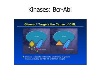 Kinases: Bcr-Abl
 