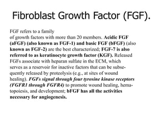 Fibroblast Growth Factor (FGF).
FGF refers to a family
of growth factors with more than 20 members. Acidic FGF
(aFGF) (also known as FGF-1) and basic FGF (bFGF) (also
known as FGF-2) are the best characterized; FGF-7 is also
referred to as keratinocyte growth factor (KGF). Released
FGFs associate with heparan sulfate in the ECM, which
serves as a reservoir for inactive factors that can be subse-
quently released by proteolysis (e.g., at sites of wound
healing). FGFs signal through four tyrosine kinase receptors
(FGFR1 through FGFR4) to promote wound healing, hema-
topoiesis, and development; bFGF has all the activities
necessary for angiogenesis.
 