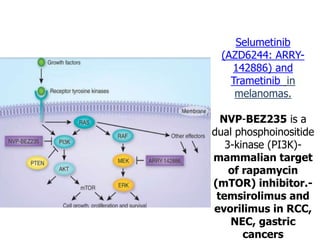 Selumetinib
(AZD6244: ARRY-
142886) and
Trametinib in
melanomas.
NVP-BEZ235 is a
dual phosphoinositide
3-kinase (PI3K)-
mammalian target
of rapamycin
(mTOR) inhibitor.-
temsirolimus and
evorilimus in RCC,
NEC, gastric
cancers
 