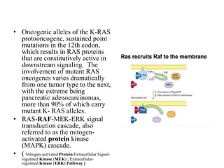 • Oncogenic alleles of the K-RAS
protooncogene, sustained point
mutations in the 12th codon,
which results in RAS proteins
that are constitutively active in
downstream signaling. The
involvement of mutant RAS
oncogenes varies dramatically
from one tumor type to the next,
with the extreme being
pancreatic adenocarcinomas,
more than 90% of which carry
mutant K- RAS alleles.
• RAS-RAF-MEK-ERK signal
transduction cascade, also
referred to as the mitogen-
activated protein kinase
(MAPK) cascade.
• ( Mitogen-activated Protein/Extracellular Signal-
regulated Kinase (MEK) ; Extracellular-
regulated Kinase (ERK) Pathway )
 