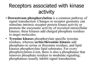 Receptors associated with kinase
activity
• Downstream phosphorylation is a common pathway of
signal transduction. Changes in receptor geometry can
stimulate intrinsic receptor protein kinase activity or
promote the enzymatic activity of recruited intracellular
kinases; these kinases add charged phosphate residues
to target molecules.
• Tyrosine kinases phosphorylate specific tyrosine
residues, whereas serine/threonine kinases add
phosphates to serine or threonine residues, and lipid
kinases phosphorylate lipid substrates. For every
phosphorylation event, there is also a phosphatase that
removes phosphate residues to modulate signaling;
phosphatases usually inhibit signal transduction.
 
