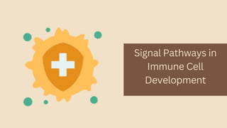 Signal Pathways in
Immune Cell
Development
 