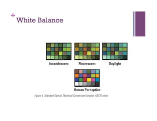 +
White Balance
 