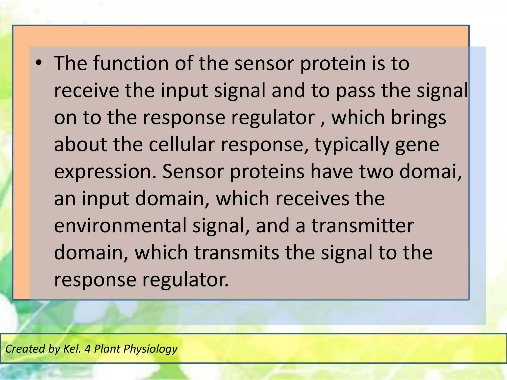 • The function of the sensor protein is to
receive the input signal and to pass the signal
on to the response regulator , which brings
about the cellular response, typically gene
expression. Sensor proteins have two domai,
an input domain, which receives the
environmental signal, and a transmitter
domain, which transmits the signal to the
response regulator.
Created by Kel. 4 Plant Physiology
 