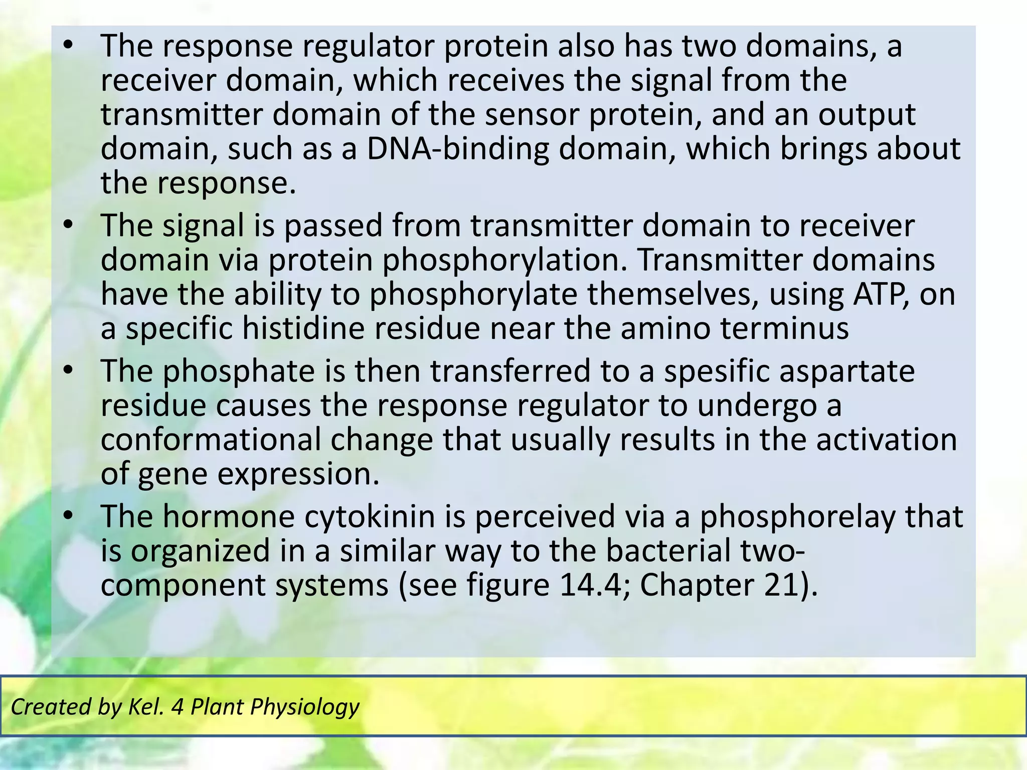 • The response regulator protein also has two domains, a
receiver domain, which receives the signal from the
transmitter domain of the sensor protein, and an output
domain, such as a DNA-binding domain, which brings about
the response.
• The signal is passed from transmitter domain to receiver
domain via protein phosphorylation. Transmitter domains
have the ability to phosphorylate themselves, using ATP, on
a specific histidine residue near the amino terminus
• The phosphate is then transferred to a spesific aspartate
residue causes the response regulator to undergo a
conformational change that usually results in the activation
of gene expression.
• The hormone cytokinin is perceived via a phosphorelay that
is organized in a similar way to the bacterial two-
component systems (see figure 14.4; Chapter 21).
Created by Kel. 4 Plant Physiology
 