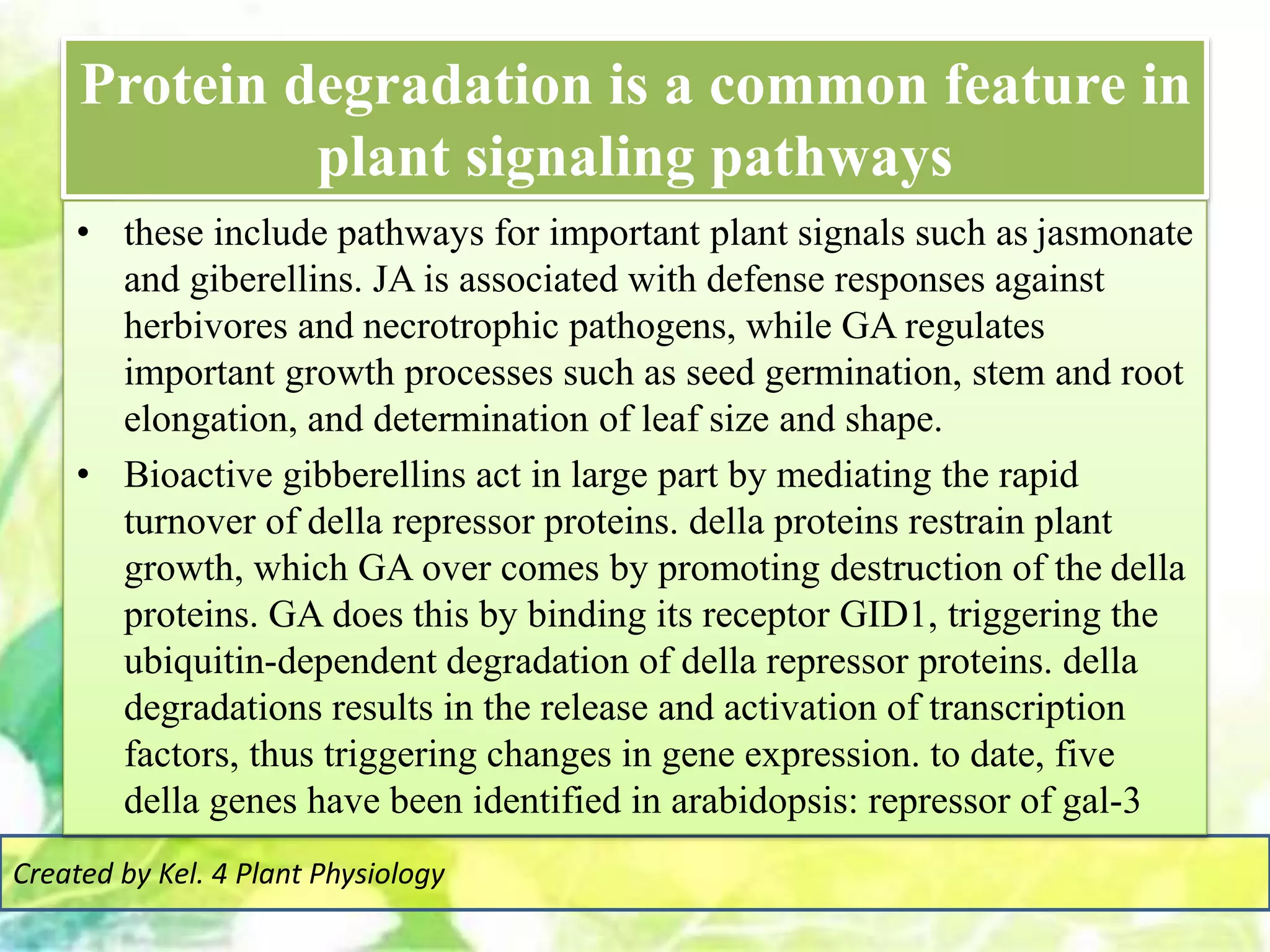 Protein degradation is a common feature in
plant signaling pathways
Created by Kel. 4 Plant Physiology
• these include pathways for important plant signals such as jasmonate
and giberellins. JA is associated with defense responses against
herbivores and necrotrophic pathogens, while GA regulates
important growth processes such as seed germination, stem and root
elongation, and determination of leaf size and shape.
• Bioactive gibberellins act in large part by mediating the rapid
turnover of della repressor proteins. della proteins restrain plant
growth, which GA over comes by promoting destruction of the della
proteins. GA does this by binding its receptor GID1, triggering the
ubiquitin-dependent degradation of della repressor proteins. della
degradations results in the release and activation of transcription
factors, thus triggering changes in gene expression. to date, five
della genes have been identified in arabidopsis: repressor of gal-3
 
