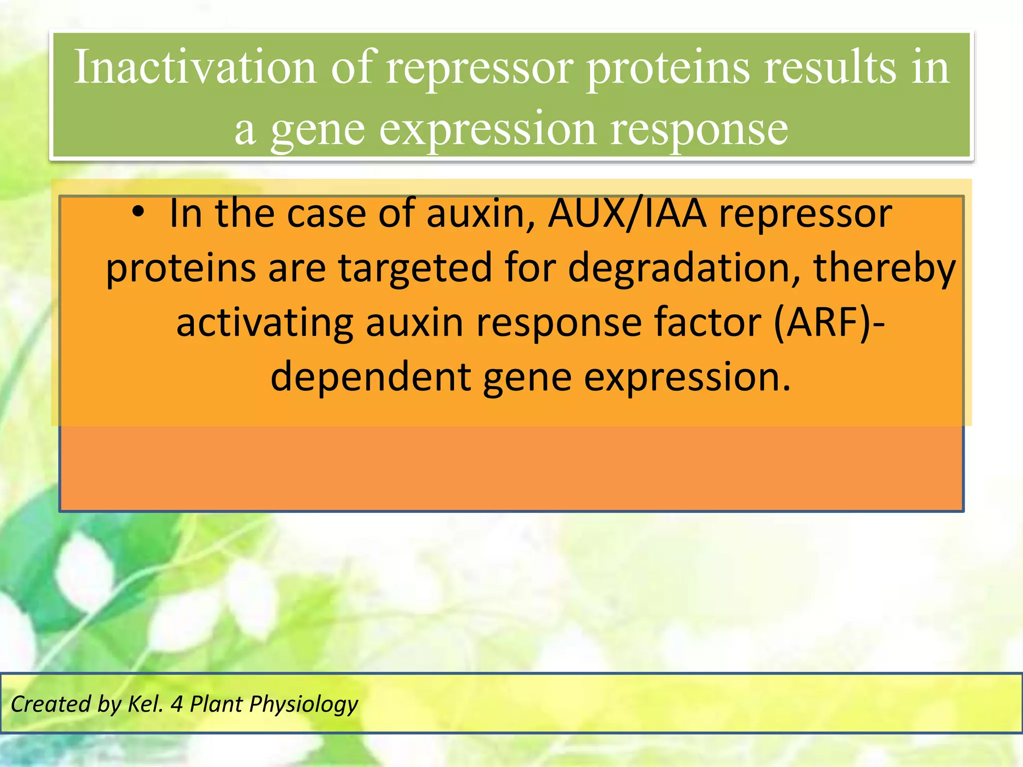 Inactivation of repressor proteins results in
a gene expression response
• In the case of auxin, AUX/IAA repressor
proteins are targeted for degradation, thereby
activating auxin response factor (ARF)-
dependent gene expression.
Created by Kel. 4 Plant Physiology
 