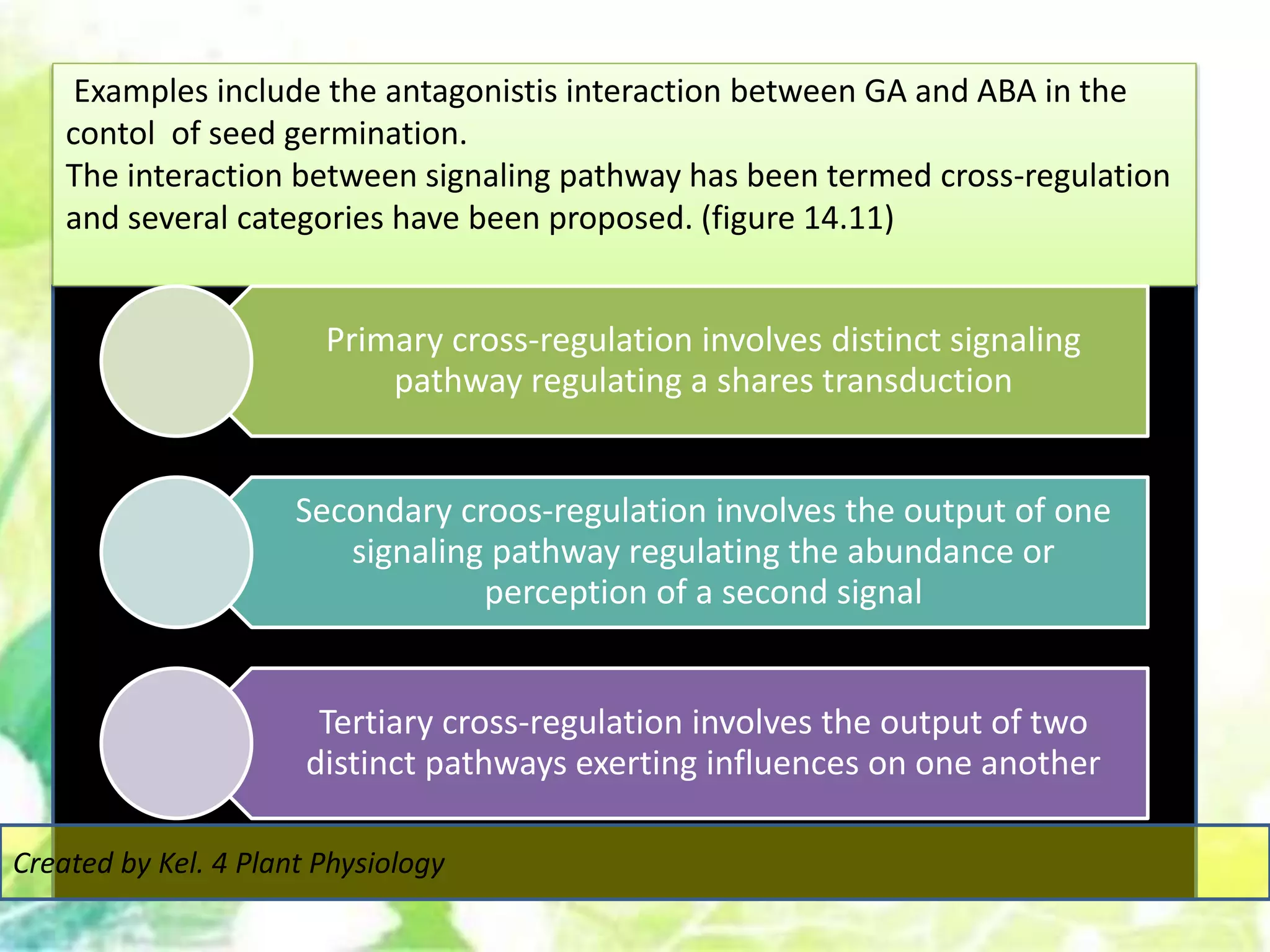Examples include the antagonistis interaction between GA and ABA in the
contol of seed germination.
The interaction between signaling pathway has been termed cross-regulation
and several categories have been proposed. (figure 14.11)
Primary cross-regulation involves distinct signaling
pathway regulating a shares transduction
Secondary croos-regulation involves the output of one
signaling pathway regulating the abundance or
perception of a second signal
Tertiary cross-regulation involves the output of two
distinct pathways exerting influences on one another
Created by Kel. 4 Plant Physiology
 