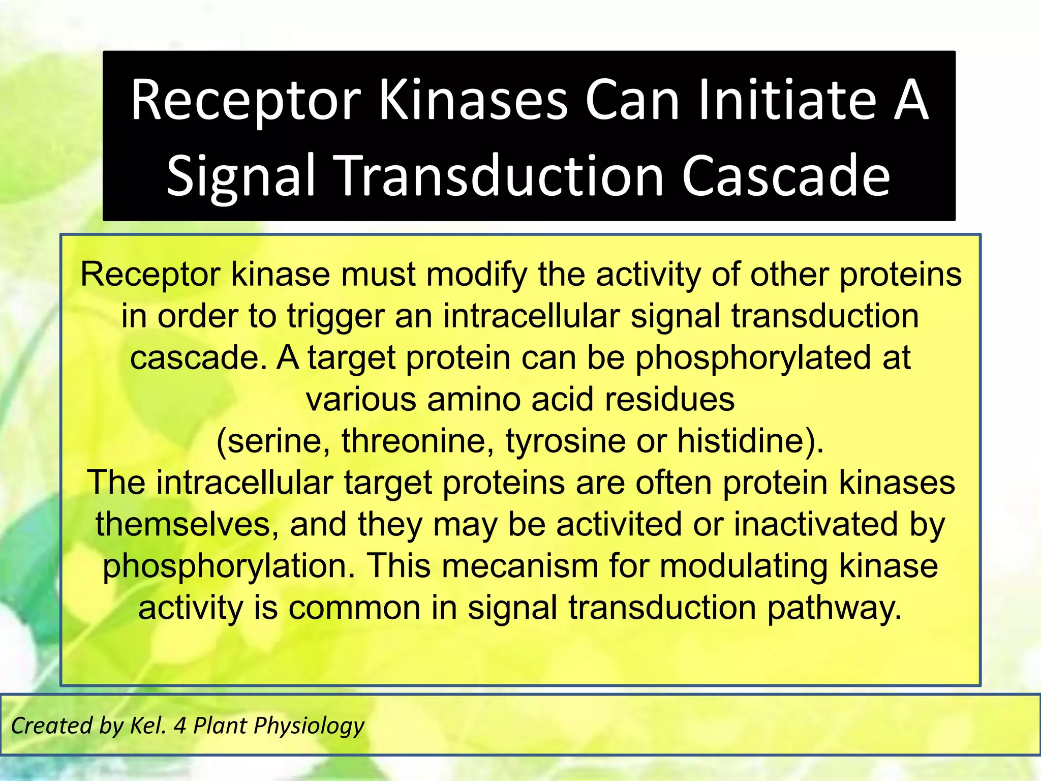 Receptor Kinases Can Initiate A
Signal Transduction Cascade
Created by Kel. 4 Plant Physiology
Receptor kinase must modify the activity of other proteins
in order to trigger an intracellular signal transduction
cascade. A target protein can be phosphorylated at
various amino acid residues
(serine, threonine, tyrosine or histidine).
The intracellular target proteins are often protein kinases
themselves, and they may be activited or inactivated by
phosphorylation. This mecanism for modulating kinase
activity is common in signal transduction pathway.
 