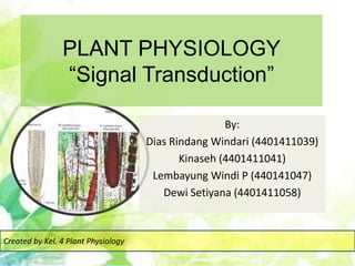 PLANT PHYSIOLOGY
“Signal Transduction”
By:
Dias Rindang Windari (4401411039)
Kinaseh (4401411041)
Lembayung Windi P (440141047)
Dewi Setiyana (4401411058)
Created by Kel. 4 Plant Physiology
 