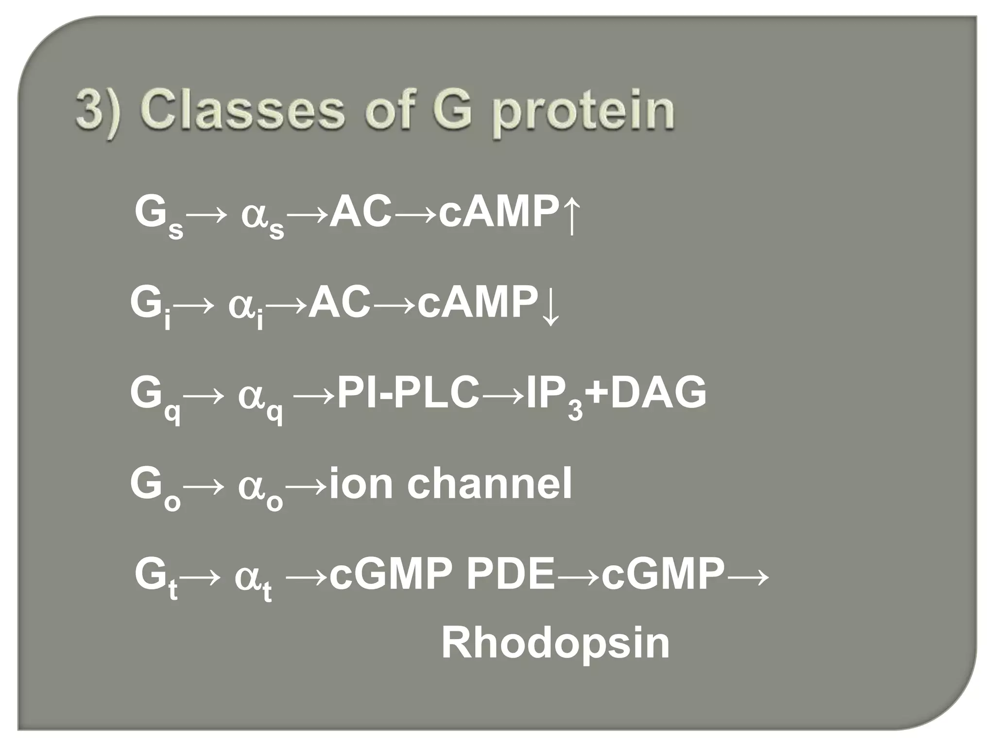 Gs→ s→AC→cAMP↑
Gi→ i→AC→cAMP↓
Gq→ q →PI-PLC→IP3+DAG
Go→ o→ion channel
Gt→ t →cGMP PDE→cGMP→
Rhodopsin
 