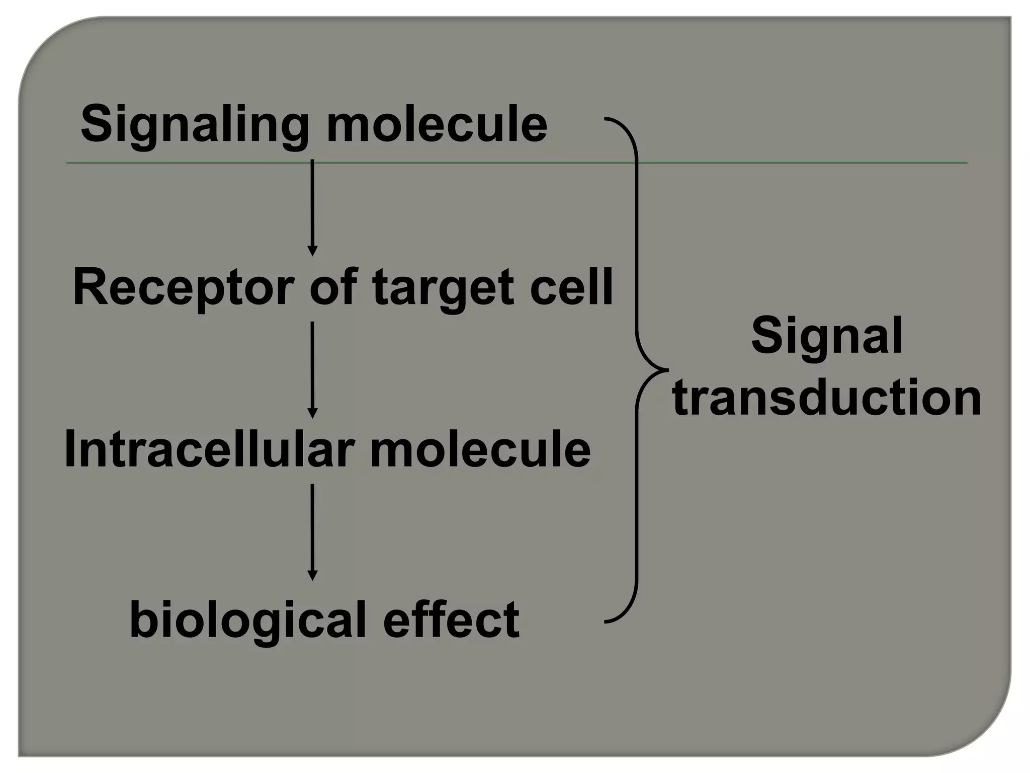 Signaling molecule
Receptor of target cell
Intracellular molecule
biological effect
Signal
transduction
 