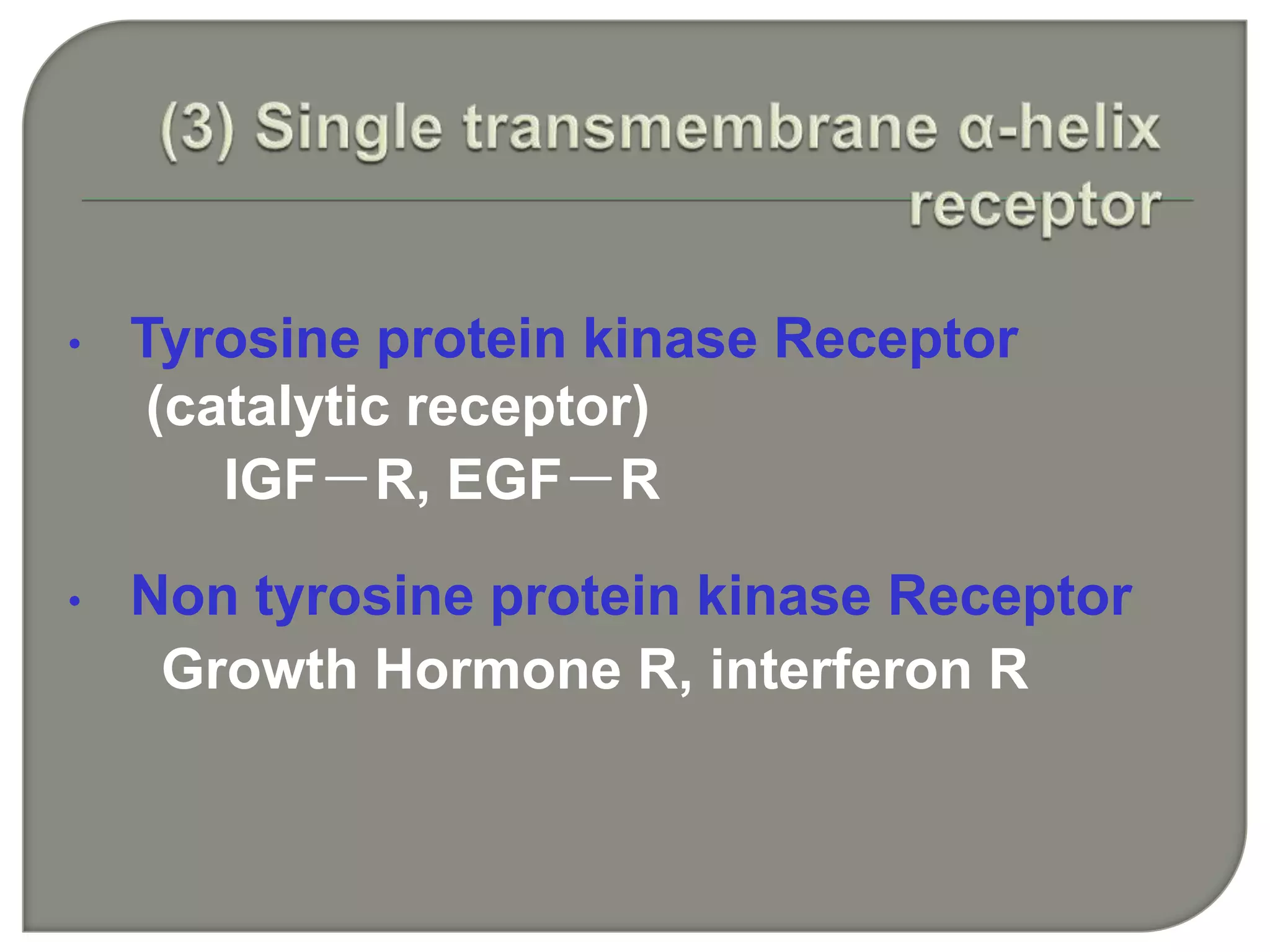 • Tyrosine protein kinase Receptor
(catalytic receptor)
IGF－R, EGF－R
• Non tyrosine protein kinase Receptor
Growth Hormone R, interferon R
 