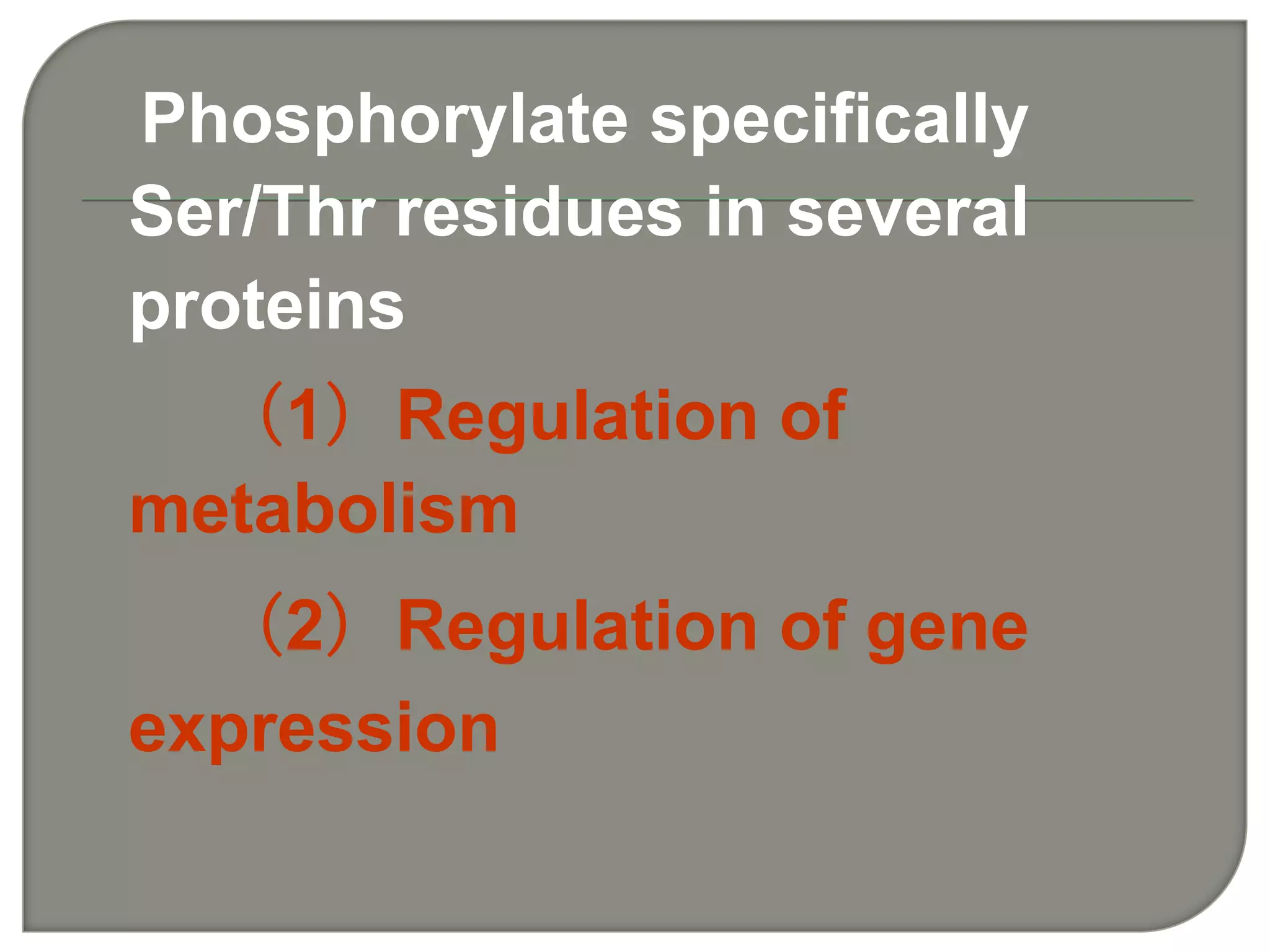 Phosphorylate specifically
Ser/Thr residues in several
proteins
（1）Regulation of
metabolism
（2）Regulation of gene
expression
 