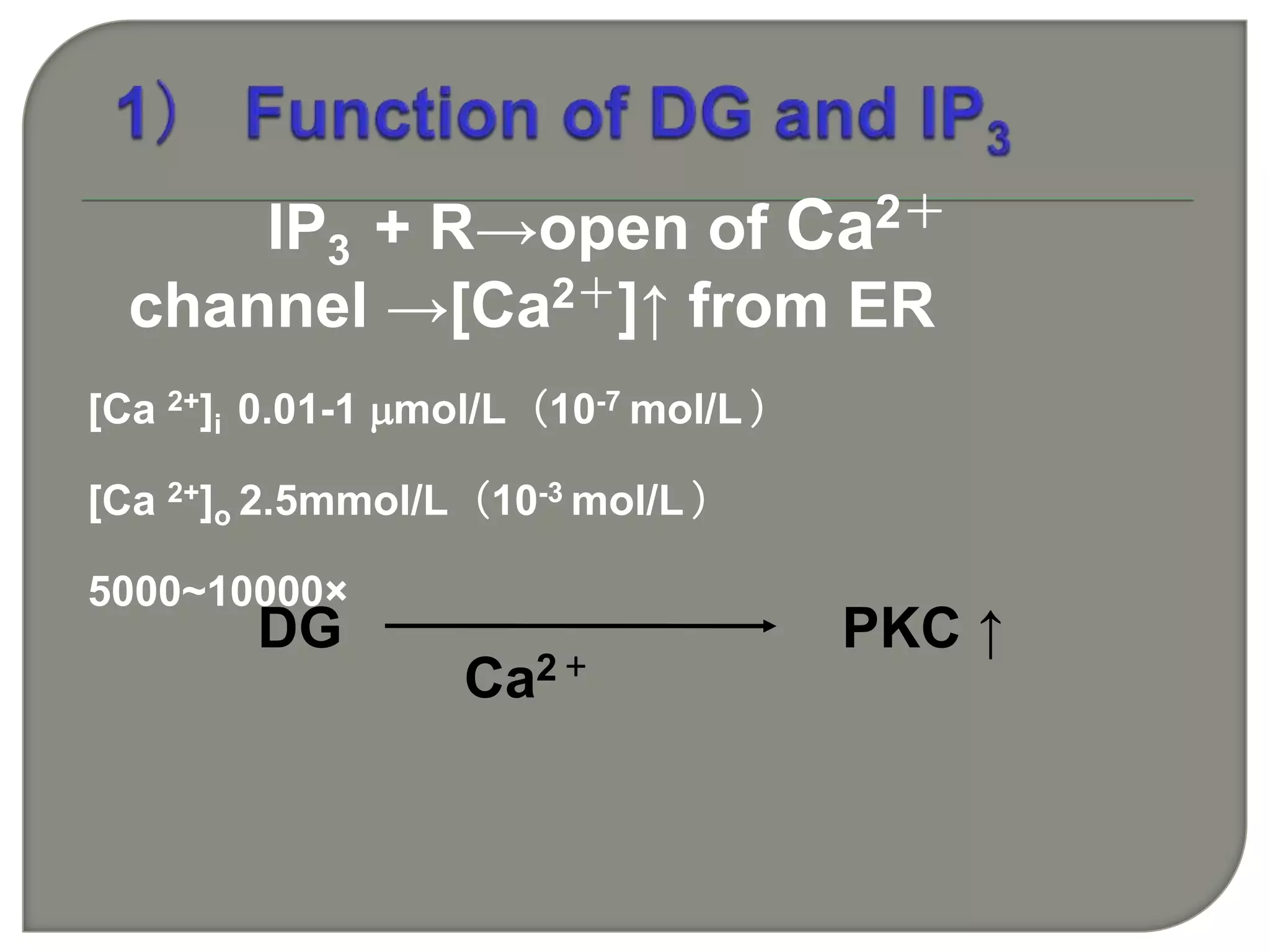 IP3 + R→open of Ca2＋
channel →[Ca2＋]↑ from ER
[Ca 2+]i 0.01-1 mol/L（10-7 mol/L ）
[Ca 2+]o 2.5mmol/L（10-3 mol/L ）
5000~10000×
Ca2＋
DG PKC ↑
 