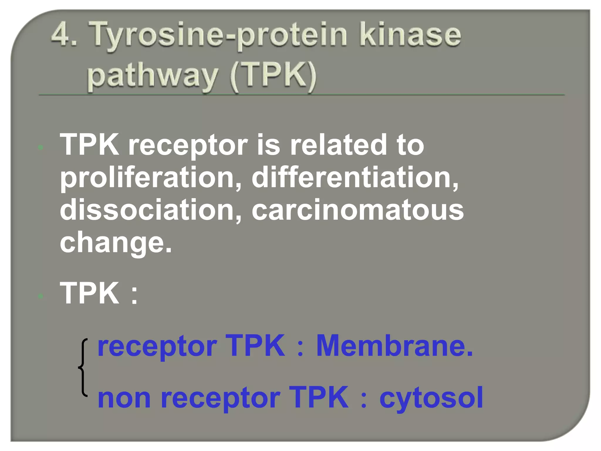 • TPK receptor is related to
proliferation, differentiation,
dissociation, carcinomatous
change.
• TPK：
receptor TPK：Membrane.
non receptor TPK：cytosol
 