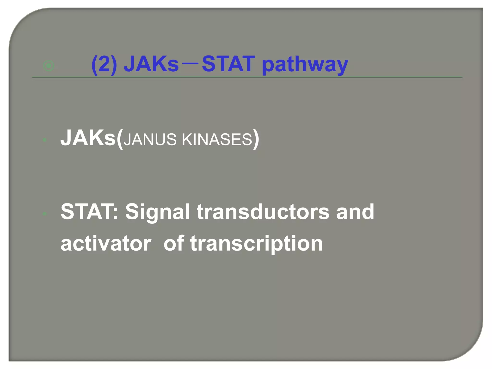  (2) JAKs－STAT pathway
• JAKs(JANUS KINASES)
• STAT: Signal transductors and
activator of transcription
 