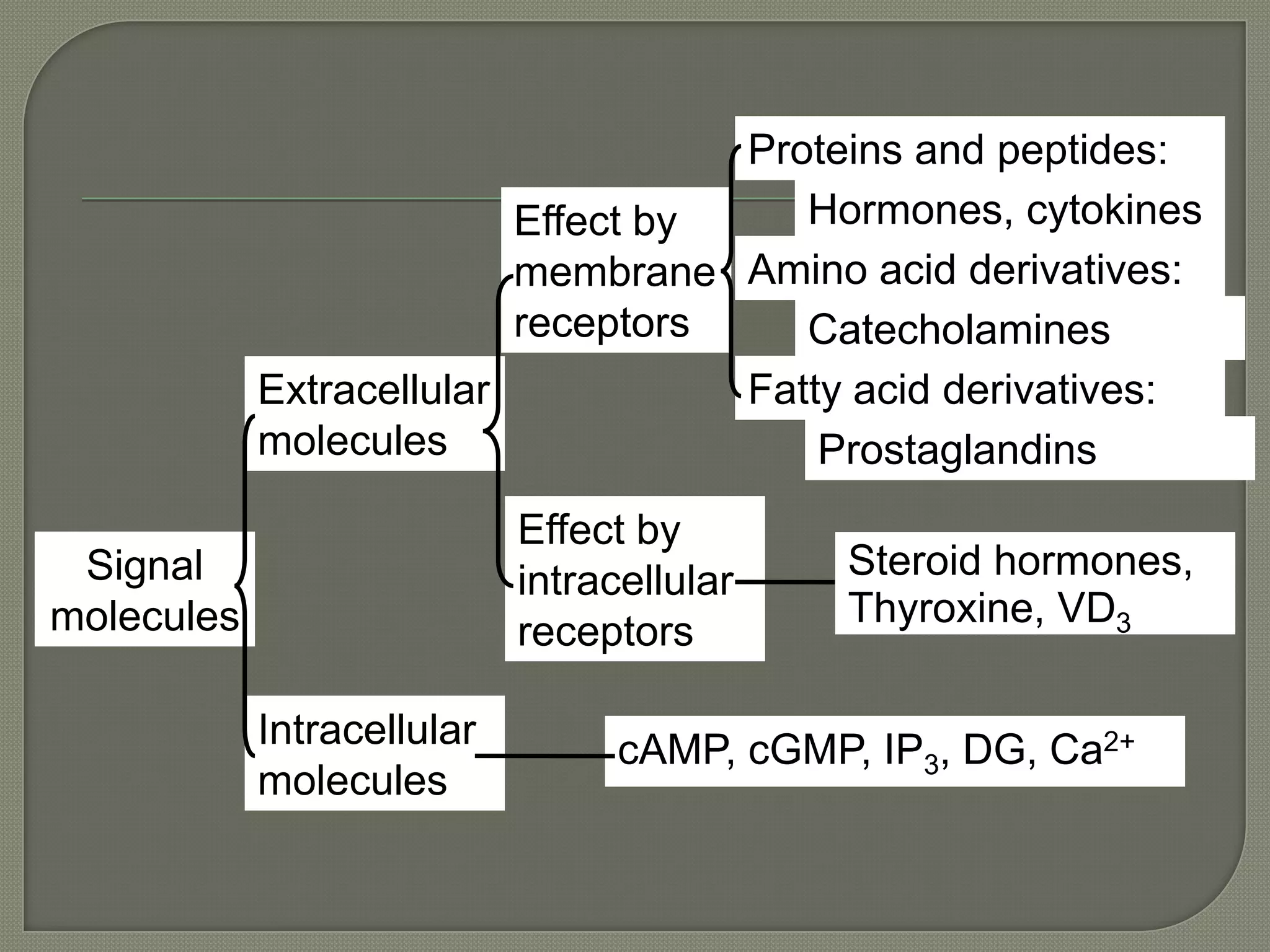 Effect by
membrane
receptors
Effect by
intracellular
receptors
Intracellular
molecules
Extracellular
molecules
Signal
molecules
cAMP, cGMP, IP3, DG, Ca2+
Proteins and peptides:
Hormones, cytokines
Amino acid derivatives:
Catecholamines
Fatty acid derivatives:
Prostaglandins
Steroid hormones,
Thyroxine, VD3
 