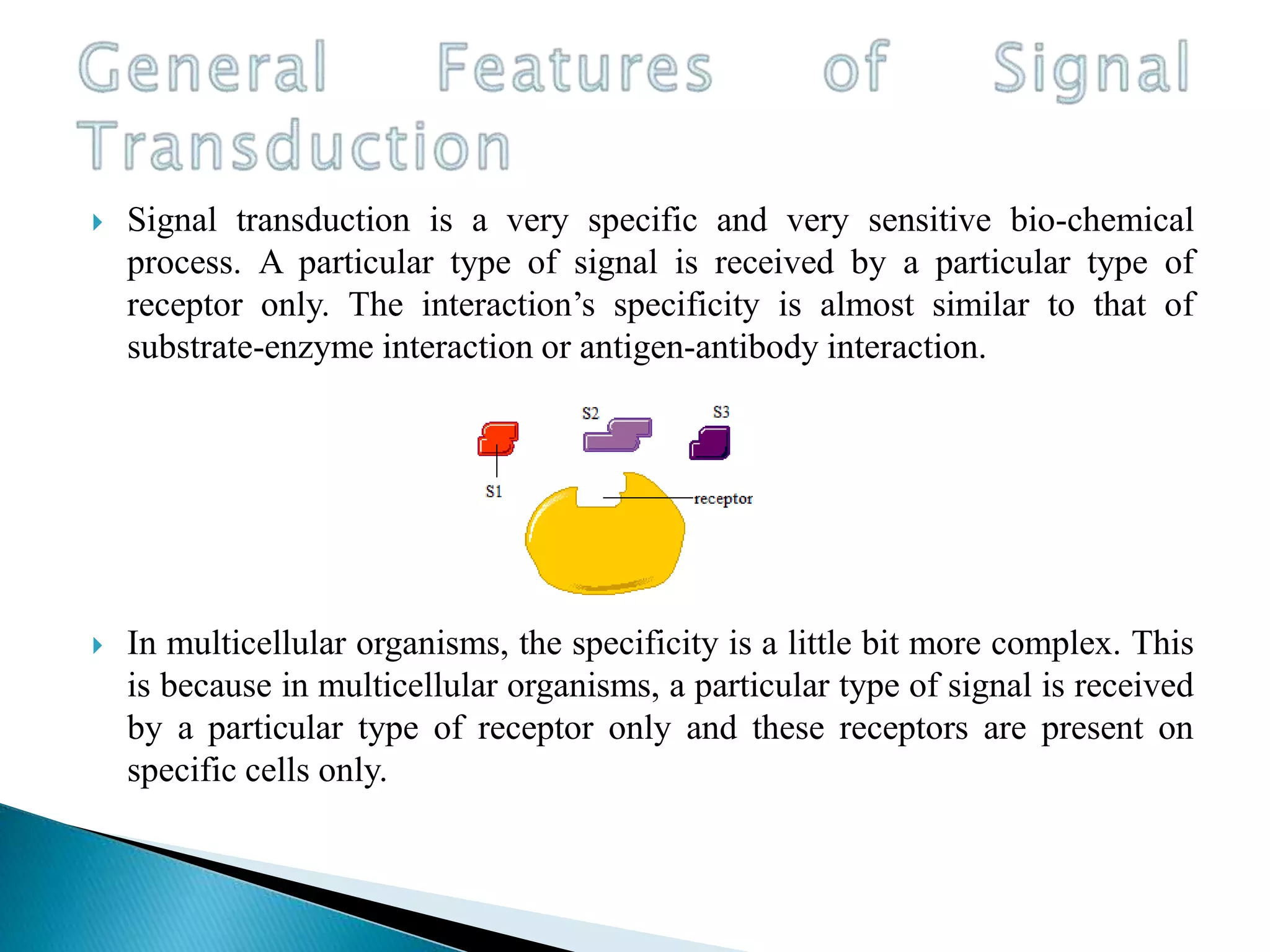  Signal transduction is a very specific and very sensitive bio-chemical
process. A particular type of signal is received by a particular type of
receptor only. The interaction’s specificity is almost similar to that of
substrate-enzyme interaction or antigen-antibody interaction.
 In multicellular organisms, the specificity is a little bit more complex. This
is because in multicellular organisms, a particular type of signal is received
by a particular type of receptor only and these receptors are present on
specific cells only.
 