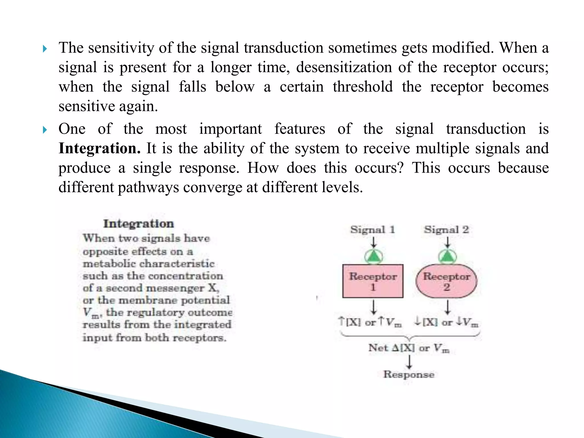  The sensitivity of the signal transduction sometimes gets modified. When a
signal is present for a longer time, desensitization of the receptor occurs;
when the signal falls below a certain threshold the receptor becomes
sensitive again.
 One of the most important features of the signal transduction is
Integration. It is the ability of the system to receive multiple signals and
produce a single response. How does this occurs? This occurs because
different pathways converge at different levels.
 