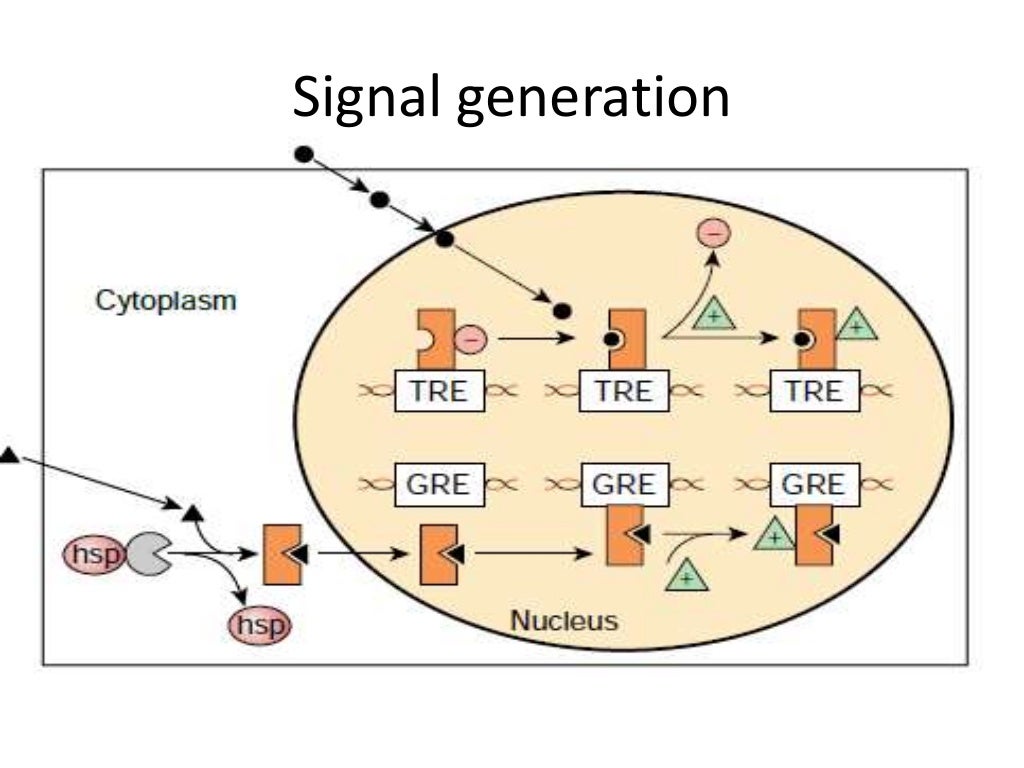 Signal transduction