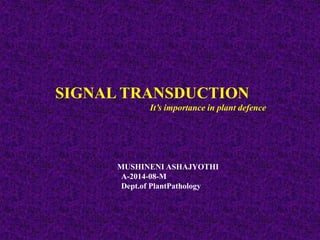 (GPB-510: Breeding for biotic and abiotic stress resistance in plants)
SIGNAL TRANSDUCTION
It’s importance in plant defence
MUSHINENI ASHAJYOTHI
A-2014-08-M
Dept.of PlantPathology
 