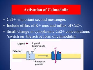 Signaltransduction and it's importance in plant defense | PPTX