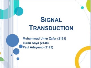 SIGNAL
TRANSDUCTION
Muhammad Umer Zafar (2191)
Turan Kaya (2148)
Paul Adeyemo (2193)
 