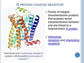 G PROTEIN COUPLED RECEPTOR
 Family of integral
transmembrane proteins
that possess seven
transmembrane domains
and are linked to a
heterotrimeric G protein.
 Adrenergic
receptors and chemokine
receptors.
 