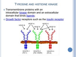 TYROSINE AND HISTIDINE KINASE
 Transmembrane proteins with an
intracellular kinase domain and an extracellular
domain that binds ligands;
 Growth factor receptors such as the insulin receptor
 