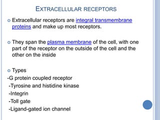 EXTRACELLULAR RECEPTORS
 Extracellular receptors are integral transmembrane
proteins and make up most receptors.
 They span the plasma membrane of the cell, with one
part of the receptor on the outside of the cell and the
other on the inside
 Types
-G protein coupled receptor
-Tyrosine and histidine kinase
-Integrin
-Toll gate
-Ligand-gated ion channel
 