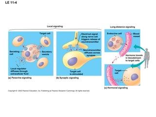 Signal transduction .................... | PPT
