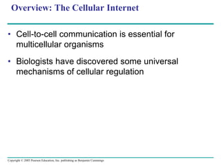 Copyright © 2005 Pearson Education, Inc. publishing as Benjamin Cummings
Overview: The Cellular Internet
• Cell-to-cell communication is essential for
multicellular organisms
• Biologists have discovered some universal
mechanisms of cellular regulation
 