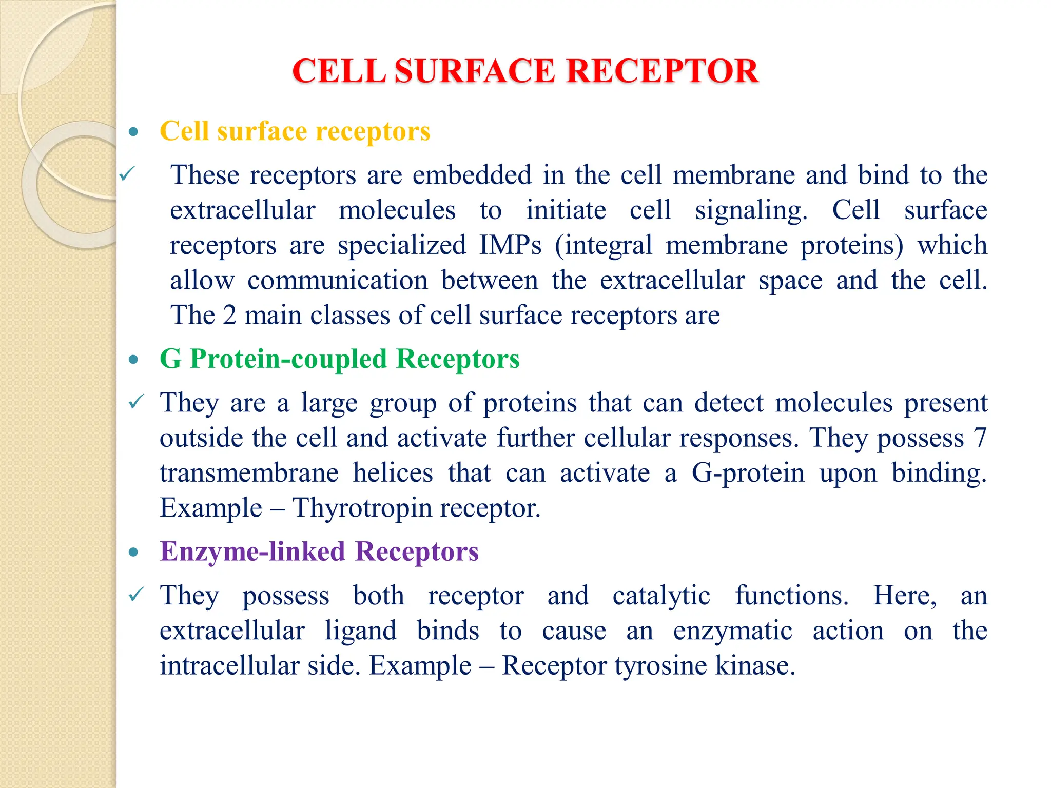 CELL SURFACE RECEPTOR
 Cell surface receptors
 These receptors are embedded in the cell membrane and bind to the
extracellular molecules to initiate cell signaling. Cell surface
receptors are specialized IMPs (integral membrane proteins) which
allow communication between the extracellular space and the cell.
The 2 main classes of cell surface receptors are
 G Protein-coupled Receptors
 They are a large group of proteins that can detect molecules present
outside the cell and activate further cellular responses. They possess 7
transmembrane helices that can activate a G-protein upon binding.
Example – Thyrotropin receptor.
 Enzyme-linked Receptors
 They possess both receptor and catalytic functions. Here, an
extracellular ligand binds to cause an enzymatic action on the
intracellular side. Example – Receptor tyrosine kinase.
 