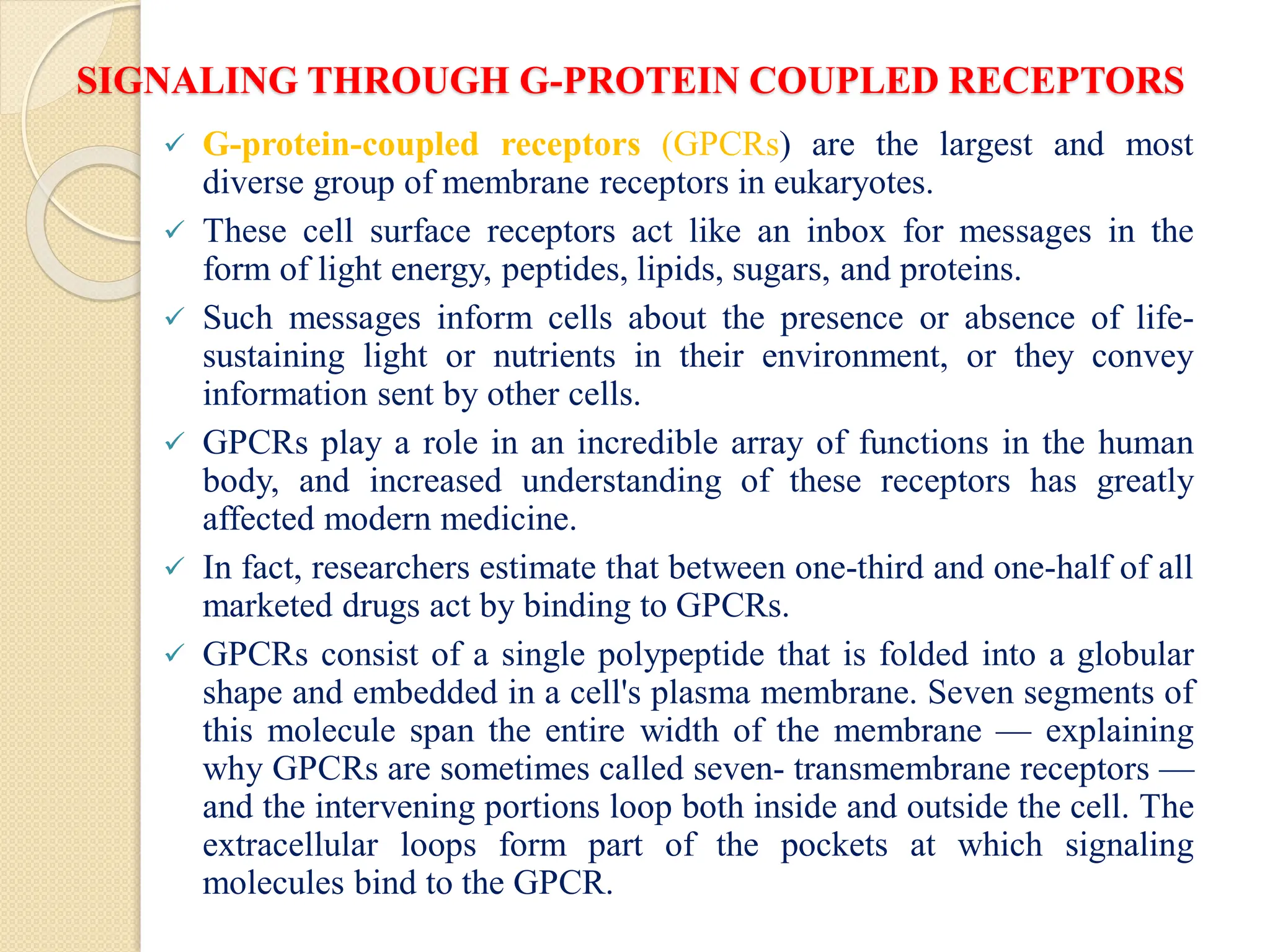 SIGNALING THROUGH G-PROTEIN COUPLED RECEPTORS
 G-protein-coupled receptors (GPCRs) are the largest and most
diverse group of membrane receptors in eukaryotes.
 These cell surface receptors act like an inbox for messages in the
form of light energy, peptides, lipids, sugars, and proteins.
 Such messages inform cells about the presence or absence of life-
sustaining light or nutrients in their environment, or they convey
information sent by other cells.
 GPCRs play a role in an incredible array of functions in the human
body, and increased understanding of these receptors has greatly
affected modern medicine.
 In fact, researchers estimate that between one-third and one-half of all
marketed drugs act by binding to GPCRs.
 GPCRs consist of a single polypeptide that is folded into a globular
shape and embedded in a cell's plasma membrane. Seven segments of
this molecule span the entire width of the membrane — explaining
why GPCRs are sometimes called seven- transmembrane receptors —
and the intervening portions loop both inside and outside the cell. The
extracellular loops form part of the pockets at which signaling
molecules bind to the GPCR.
 