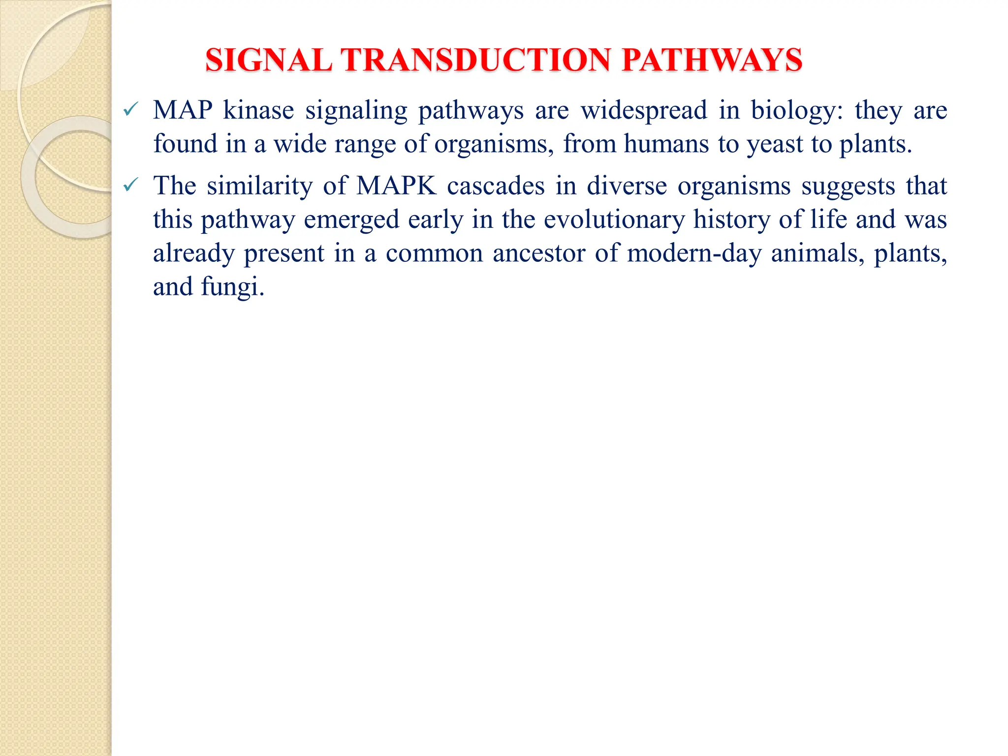SIGNAL TRANSDUCTION PATHWAYS
 MAP kinase signaling pathways are widespread in biology: they are
found in a wide range of organisms, from humans to yeast to plants.
 The similarity of MAPK cascades in diverse organisms suggests that
this pathway emerged early in the evolutionary history of life and was
already present in a common ancestor of modern-day animals, plants,
and fungi.
 