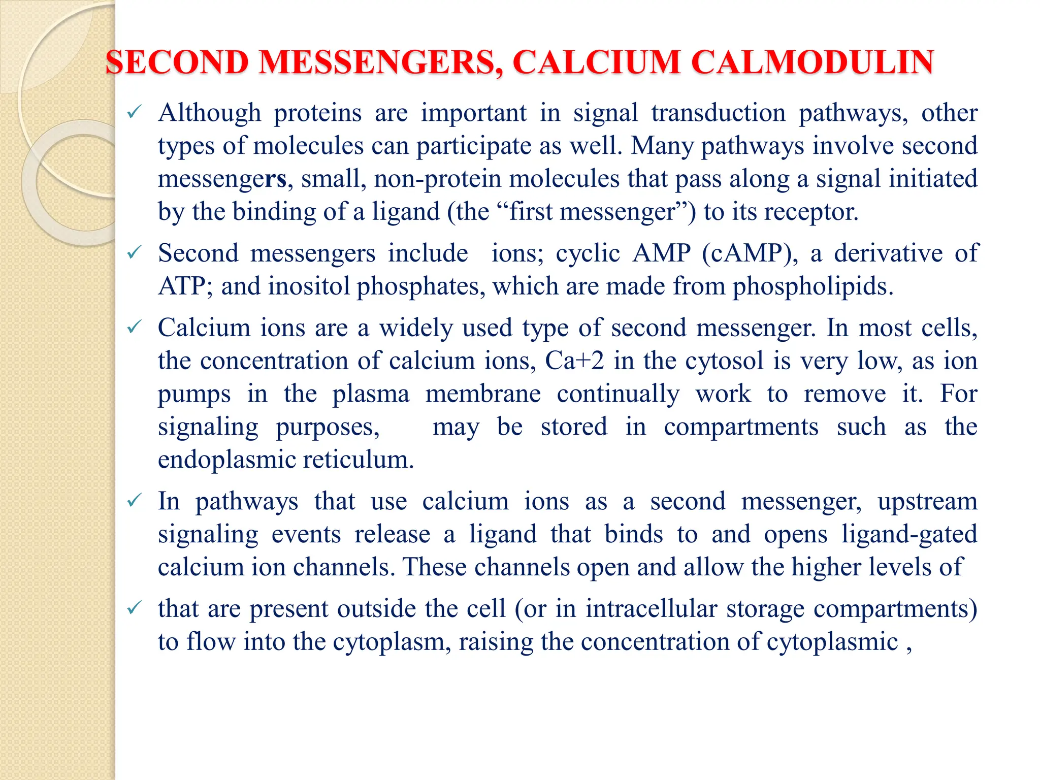 SECOND MESSENGERS, CALCIUM CALMODULIN
 Although proteins are important in signal transduction pathways, other
types of molecules can participate as well. Many pathways involve second
messengers, small, non-protein molecules that pass along a signal initiated
by the binding of a ligand (the “first messenger”) to its receptor.
 Second messengers include ions; cyclic AMP (cAMP), a derivative of
ATP; and inositol phosphates, which are made from phospholipids.
 Calcium ions are a widely used type of second messenger. In most cells,
the concentration of calcium ions, Ca+2 in the cytosol is very low, as ion
pumps in the plasma membrane continually work to remove it. For
signaling purposes, may be stored in compartments such as the
endoplasmic reticulum.
 In pathways that use calcium ions as a second messenger, upstream
signaling events release a ligand that binds to and opens ligand-gated
calcium ion channels. These channels open and allow the higher levels of
 that are present outside the cell (or in intracellular storage compartments)
to flow into the cytoplasm, raising the concentration of cytoplasmic ,
 
