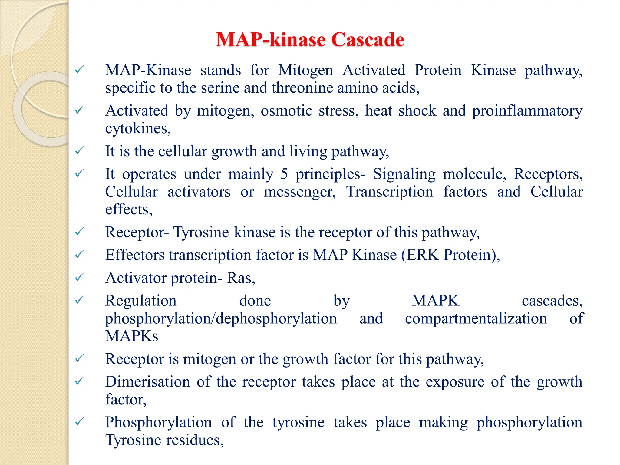 MAP-kinase Cascade
 MAP-Kinase stands for Mitogen Activated Protein Kinase pathway,
specific to the serine and threonine amino acids,
 Activated by mitogen, osmotic stress, heat shock and proinflammatory
cytokines,
 It is the cellular growth and living pathway,
 It operates under mainly 5 principles- Signaling molecule, Receptors,
Cellular activators or messenger, Transcription factors and Cellular
effects,
 Receptor- Tyrosine kinase is the receptor of this pathway,
 Effectors transcription factor is MAP Kinase (ERK Protein),
 Activator protein- Ras,
 Regulation done by MAPK cascades,
phosphorylation/dephosphorylation and compartmentalization of
MAPKs
 Receptor is mitogen or the growth factor for this pathway,
 Dimerisation of the receptor takes place at the exposure of the growth
factor,
 Phosphorylation of the tyrosine takes place making phosphorylation
Tyrosine residues,
 