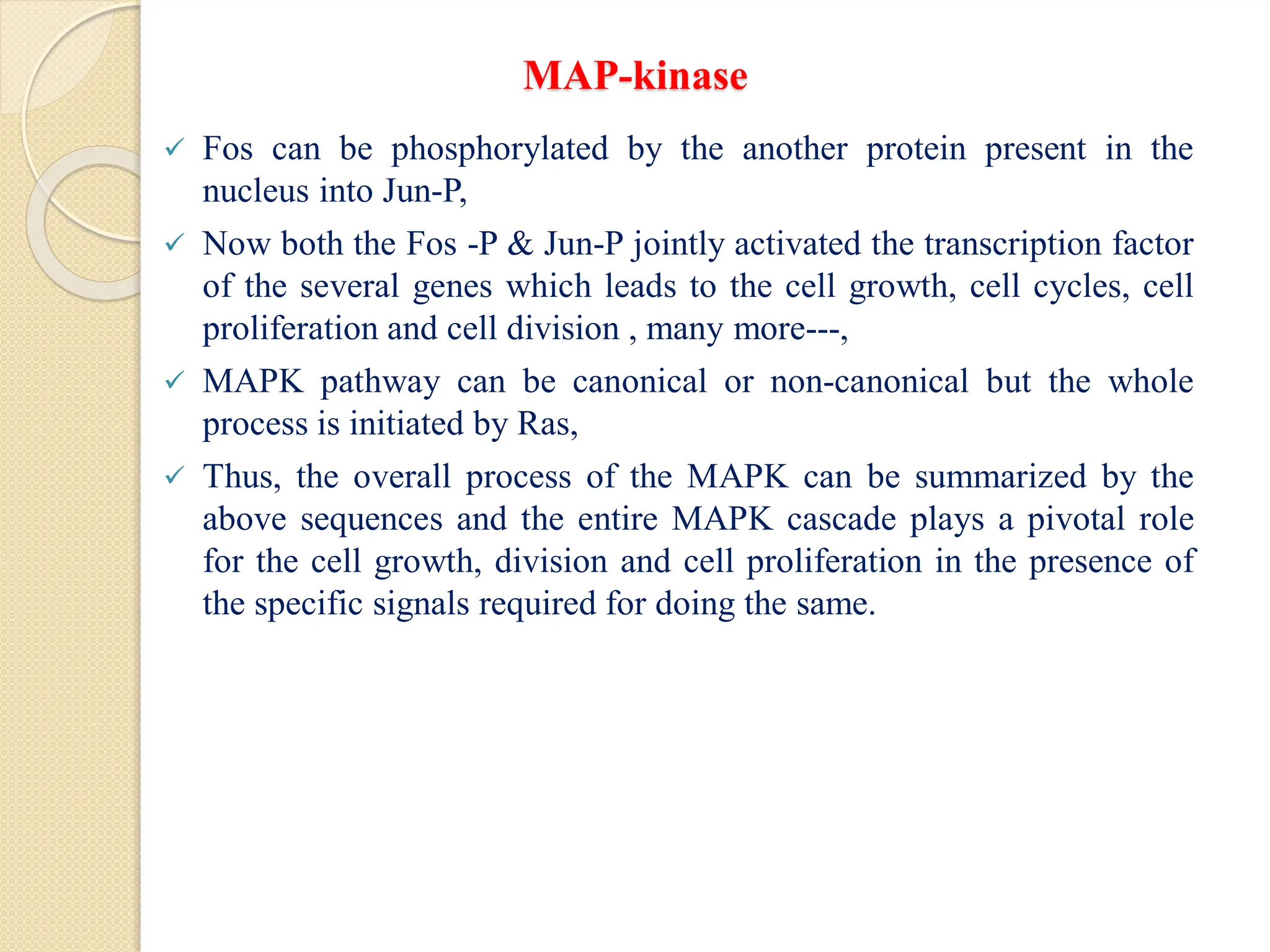 MAP-kinase
 Fos can be phosphorylated by the another protein present in the
nucleus into Jun-P,
 Now both the Fos -P & Jun-P jointly activated the transcription factor
of the several genes which leads to the cell growth, cell cycles, cell
proliferation and cell division , many more---,
 MAPK pathway can be canonical or non-canonical but the whole
process is initiated by Ras,
 Thus, the overall process of the MAPK can be summarized by the
above sequences and the entire MAPK cascade plays a pivotal role
for the cell growth, division and cell proliferation in the presence of
the specific signals required for doing the same.
 