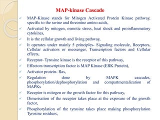 Cellular Communication: Signal Transduction Pathway | PDF